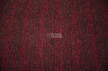 Solid Stripes 120 фото 2 | FLOORDEALER